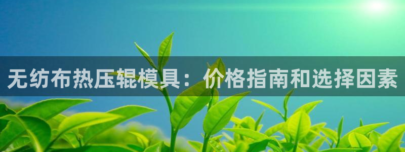 emc服务器是什么:无纺布热压辊模具:价格指南和选择因素