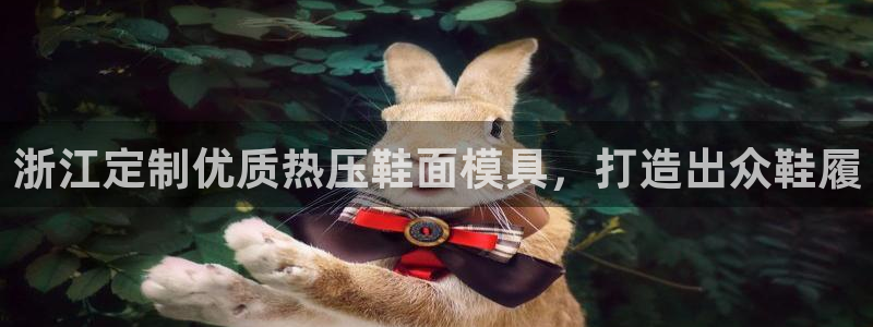 EMC易倍官方网址：浙江定制优质热压鞋面模具，打造出众鞋