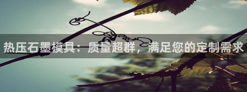 易倍全站下载:热压石墨模具:质量超群,满足您的定制需求