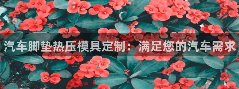 杭州易倍达上班怎么样:汽车脚垫热压模具定制:满足您的汽车