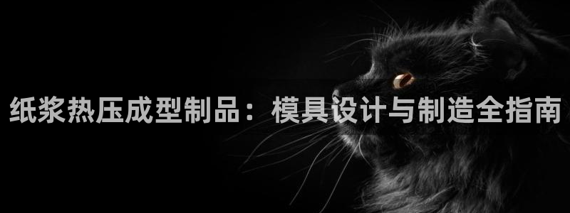 易倍单词如何下载:纸浆热压成型制品:模具设计与制造全指南