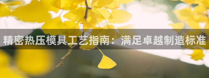 易倍纤减肥反弹不：精密热压模具工艺指南：满足卓越制造标准