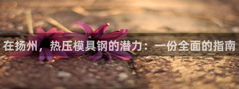 易倍申怎么样：在扬州，热压模具钢的潜力：一份全面的指南