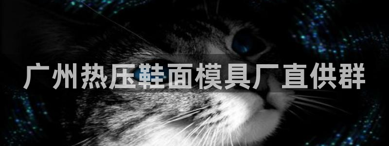 易倍纤谷物粉效果好吗