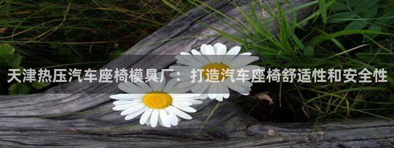 EMC易倍官方平台