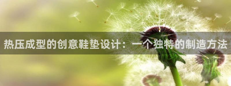 emc易倍网页版：热压成型的创意鞋垫设计：一个独特的制造