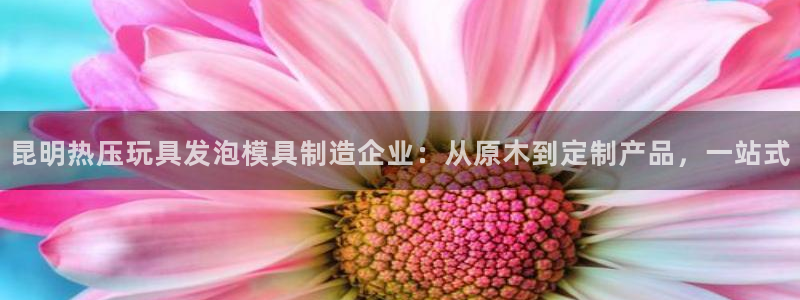 Emc易赔体育：昆明热压玩具发泡模具制造企业：从原木到定