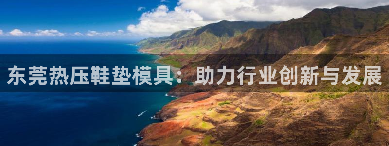 杭州易倍达上班怎么样：东莞热压鞋垫模具：助力行业创新与发