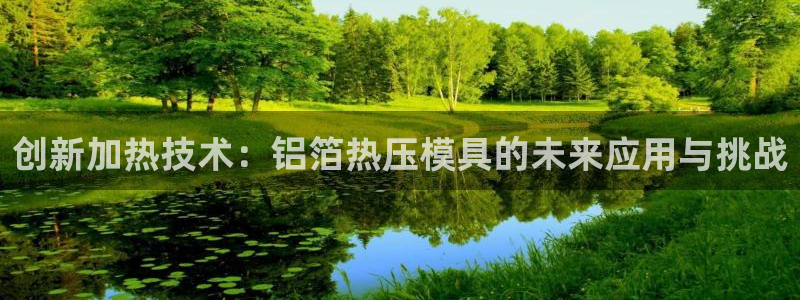 易倍网络技术有限公司招聘：创新加热技术：铝箔热压模具的未