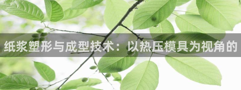 易倍单词官方网站下载：纸浆塑形与成型技术：以热压模具为视