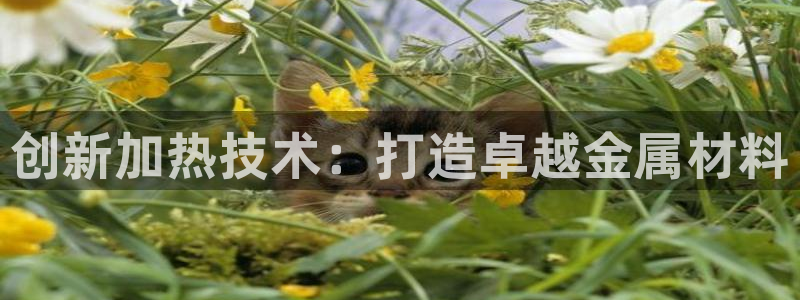 易倍emc网址