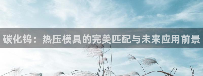 易倍申价格是多少：碳化钨：热压模具的完美匹配与未来应用前