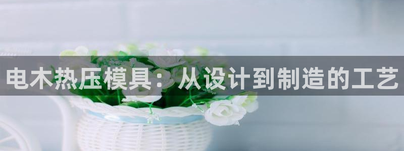 易倍下载地址：电木热压模具：从设计到制造的工艺
