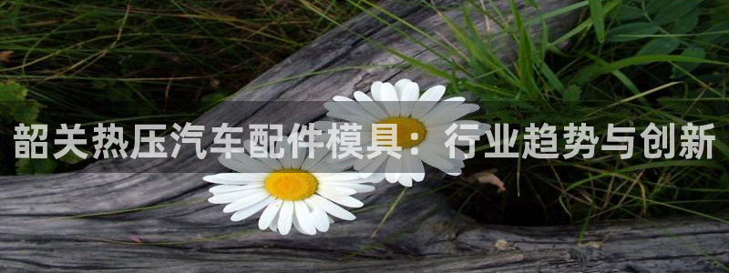 易倍思机电制造(上海)有限公司：韶关热压汽车配件模具：行