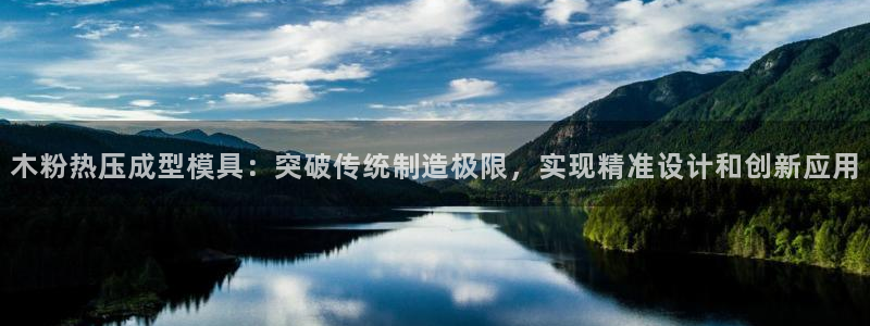 易倍申片能长期服用吗：木粉热压成型模具：突破传统制造极限