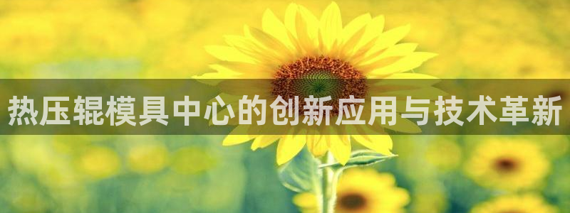 易倍网络技术有限公司招聘