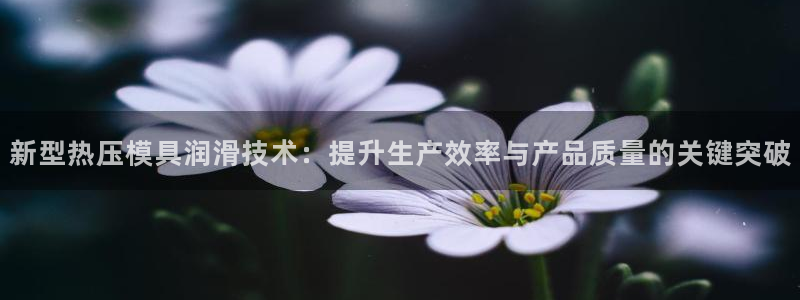 南京易倍易电子科技有限公司：新型热压模具润滑技术：提升生