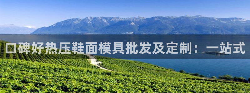 emc易倍登录：口碑好热压鞋面模具批发及定制：一站式