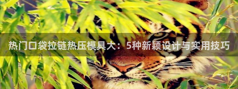 易倍申服用方法：热门口袋拉链热压模具大：5种新颖设计与实