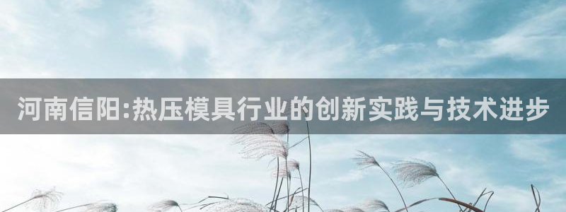 易倍单词如何下载：河南信阳:热压模具行业的创新实践与技术