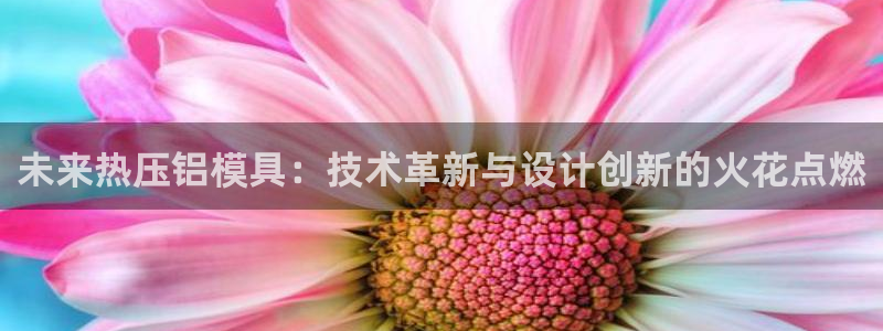 易倍纤瘦身三部曲的价格：未来热压铝模具：技术革新与设计创