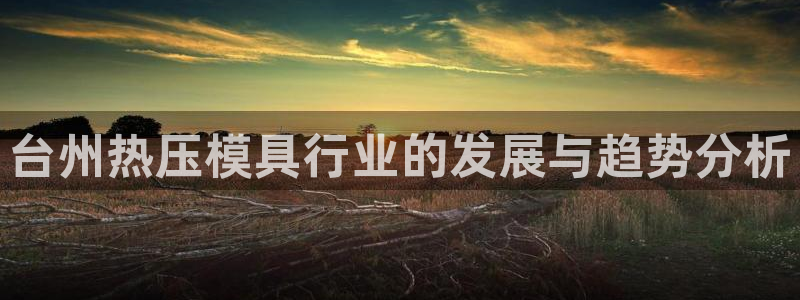 易倍纤酵素效果好吗：台州热压模具行业的发展与趋势分析