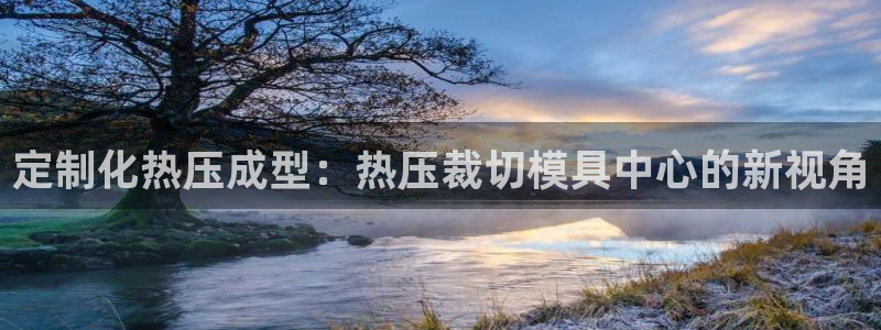 易倍申厂家：定制化热压成型：热压裁切模具中心的新视角