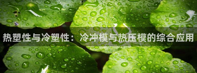 易倍网页版登录：热塑性与冷塑性：冷冲模与热压模的综合应用