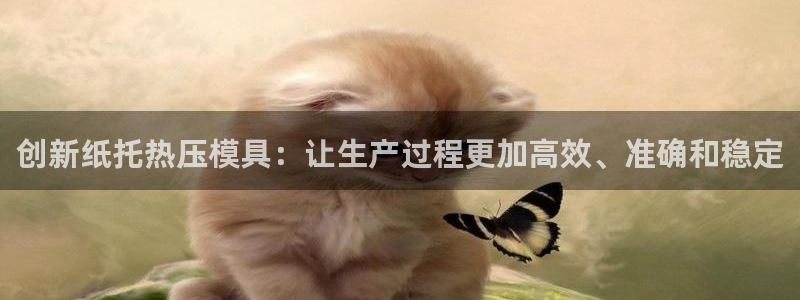 易倍申的副作用：创新纸托热压模具：让生产过程更加高效、准
