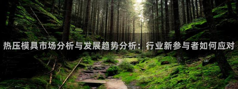 EMC易倍让身份验证：热压模具市场分析与发展趋势分析：行