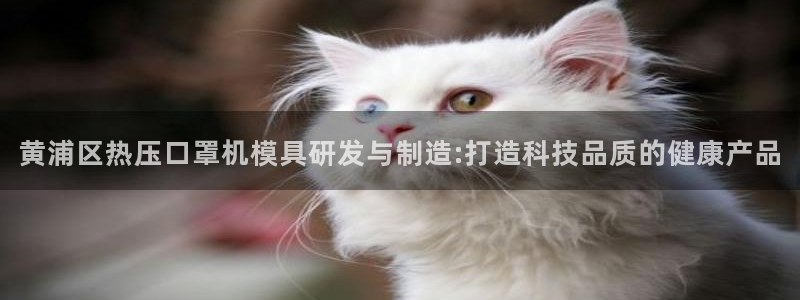 emc易倍官网首页进入:黄浦区热压口罩机模具研发与制造: