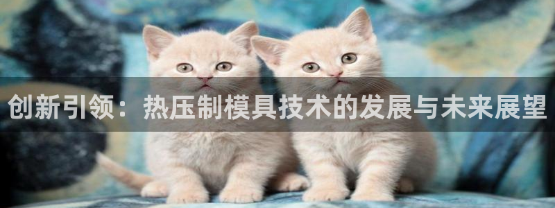 emc服务器是什么：创新引领：热压制模具技术的发展与未来