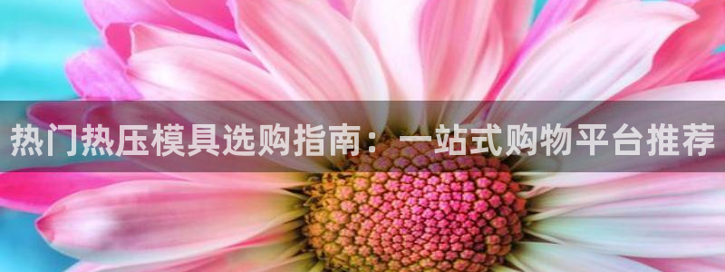 易倍达科技有限公司怎么样：热门热压模具选购指南：一站式购