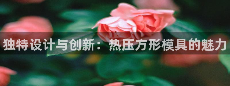 emc易倍的服务优势：独特设计与创新：热压方形模具的魅力