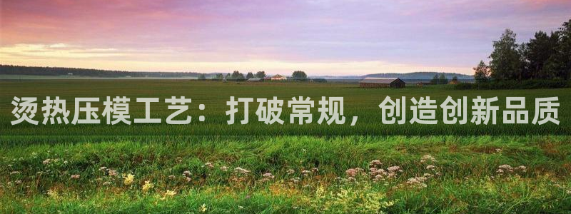 易倍申厂家:烫热压模工艺:打破常规,创造创新品质