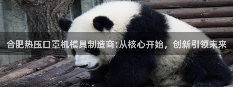 易倍网络技术有限公司官网：合肥热压口罩机模具制造商:从核