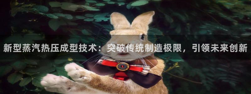 易倍申服用方法：新型蒸汽热压成型技术：突破传统制造极限，