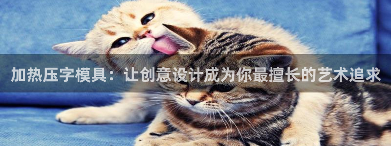 杭州易倍达上班怎么样：加热压字模具：让创意设计成为你最擅