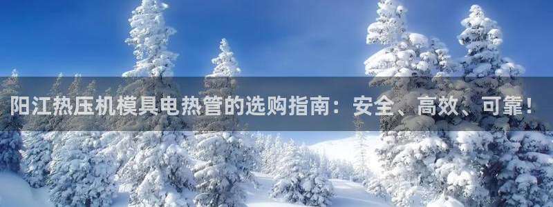 易倍单词官方网站登录：阳江热压机模具电热管的选购指南：安
