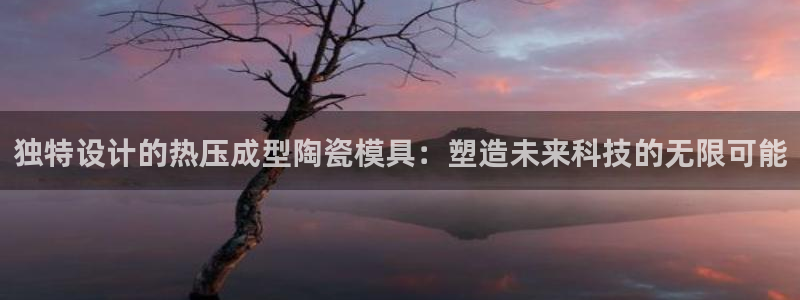 武汉易倍捷科技有限公司：独特设计的热压成型陶瓷模具：塑造