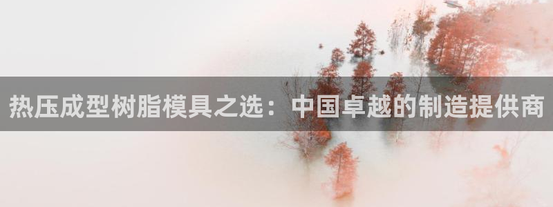 易倍企业管理软件怎么样:热压成型树脂模具之选:中国卓越的