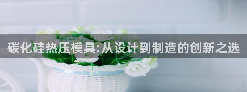 易倍纤价格