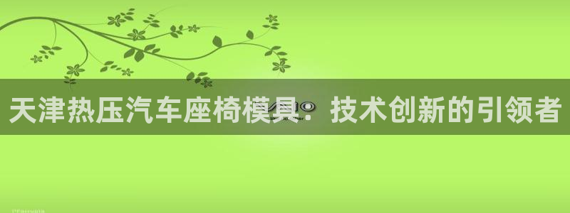 杭州易倍达科技有限公司怎么样：天津热压汽车座椅模具：技术