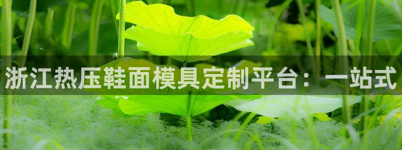 易倍申可以长期服用吗:浙江热压鞋面模具定制平台:一站式