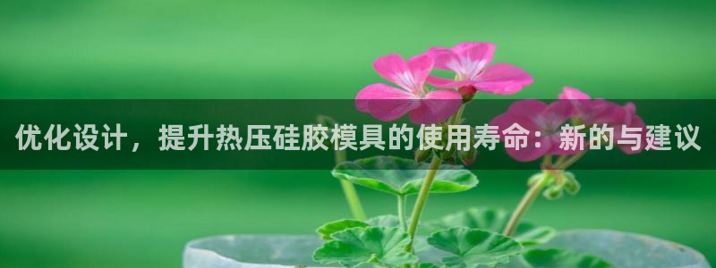 易倍纤使用方法:优化设计,提升热压硅胶模具的使用寿命:新