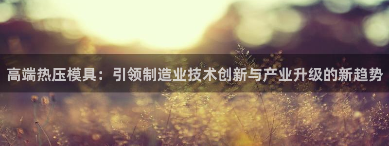 易倍单词官方网站的:高端热压模具:引领制造业技术创新与产