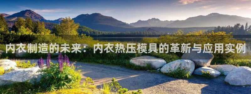 emc全站ag:内衣制造的未来:内衣热压模具的革新与应用