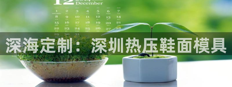 emc频率范围：深海定制：深圳热压鞋面模具