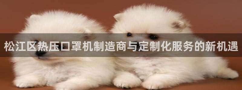 易倍英语官方网站登录：松江区热压口罩机制造商与定制化服务