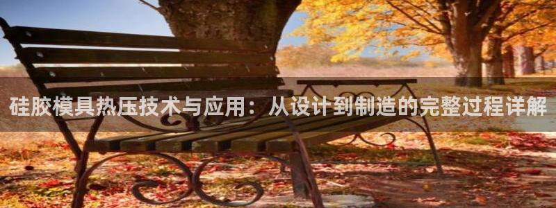 emc登录网站：硅胶模具热压技术与应用：从设计到制造的完